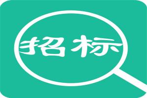 三門峽智慧旅游平臺建設第一期項目 自行采購招標結(jié)果公告